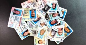Pile of confiscated fake IDs